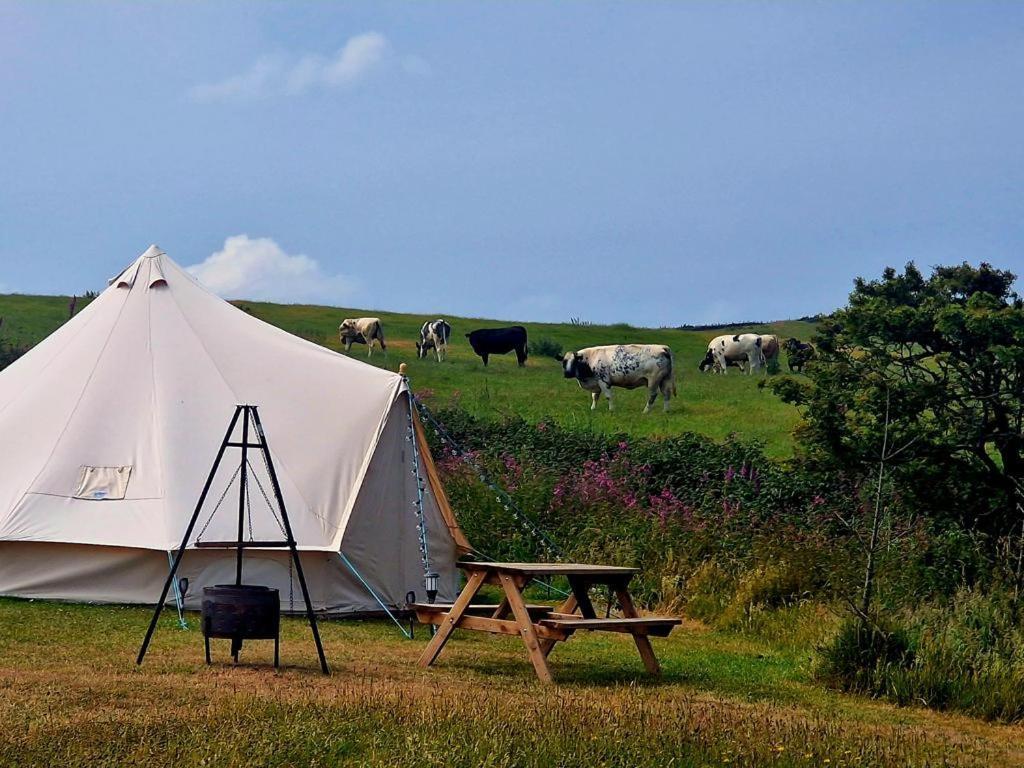 Beautiful 1-Bed Bell Tent In Holyhead Exterior photo